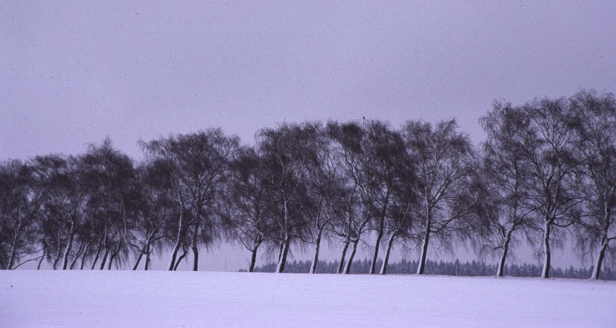 Abschied vom Winter !