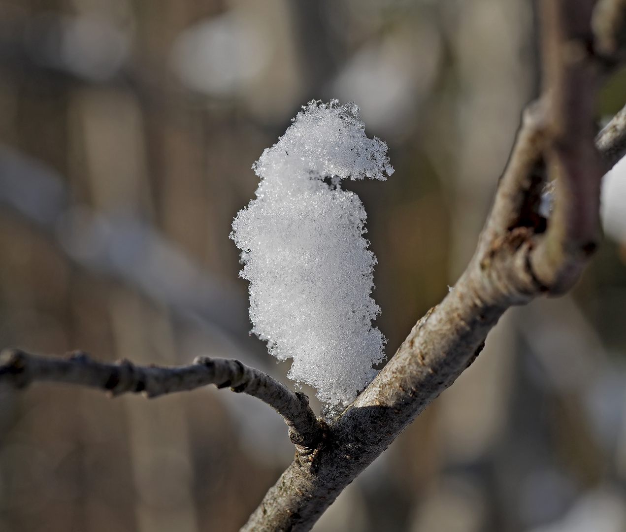 Abschied vom Winter...  - Adieu l'hiver!