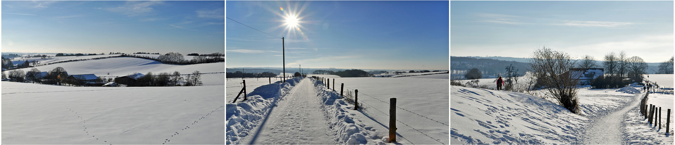 Abschied vom Winter