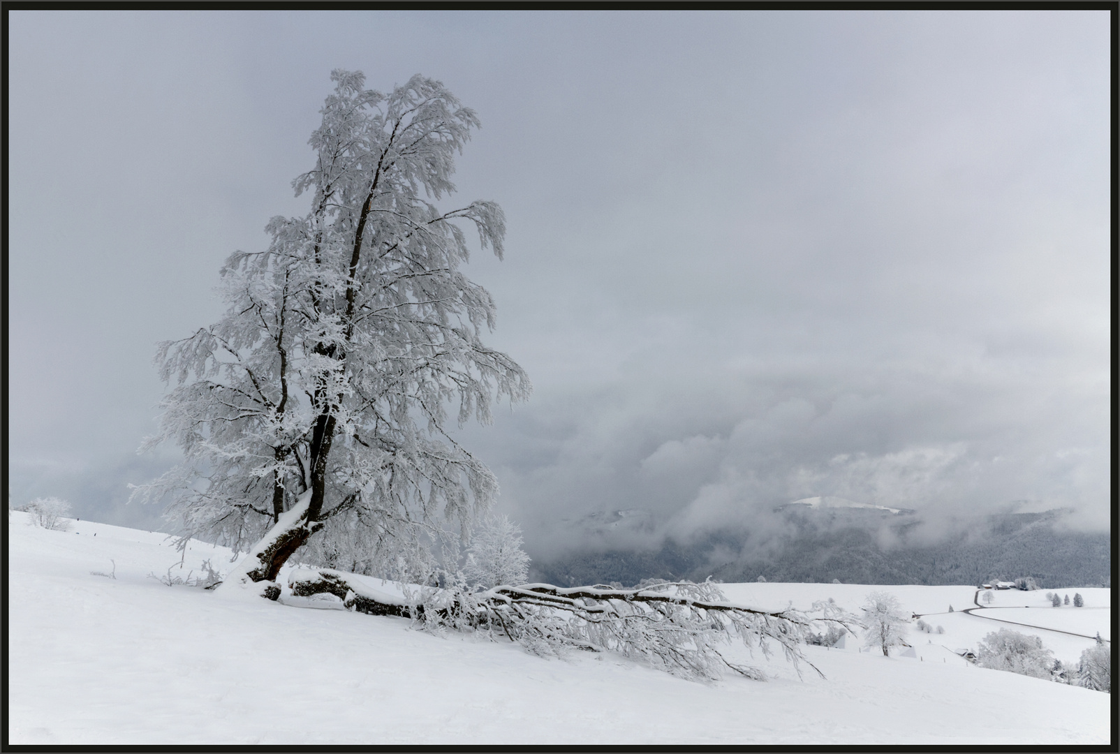 Abschied vom Winter ...