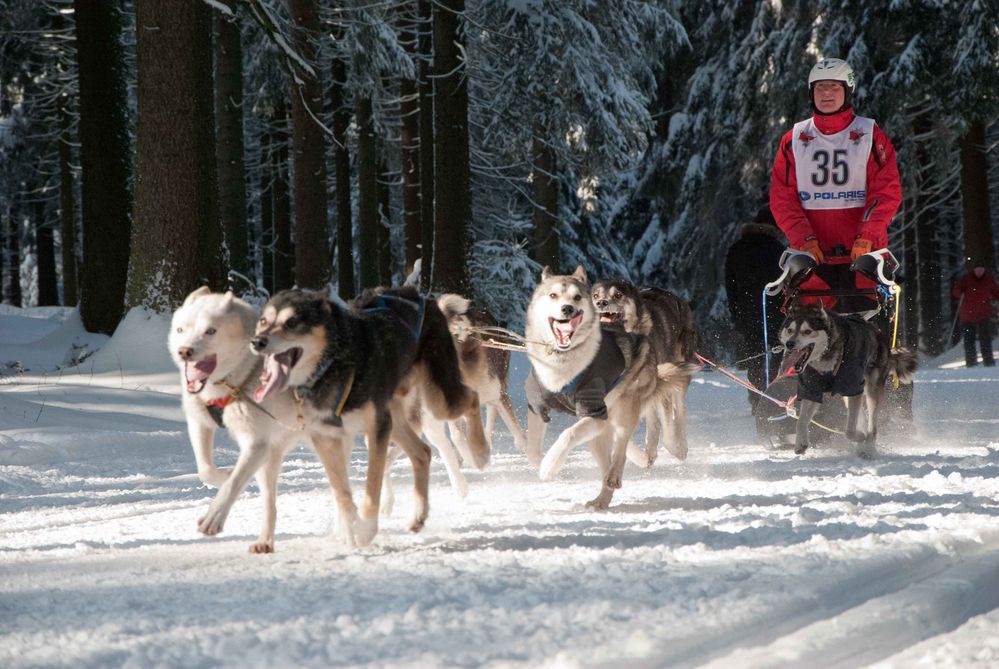 Abschied vom Winter?