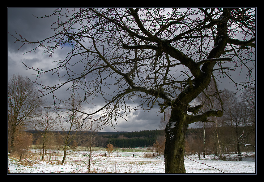 Abschied vom Winter II