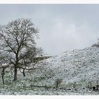 Abschied vom Winter: Vor einer Woche