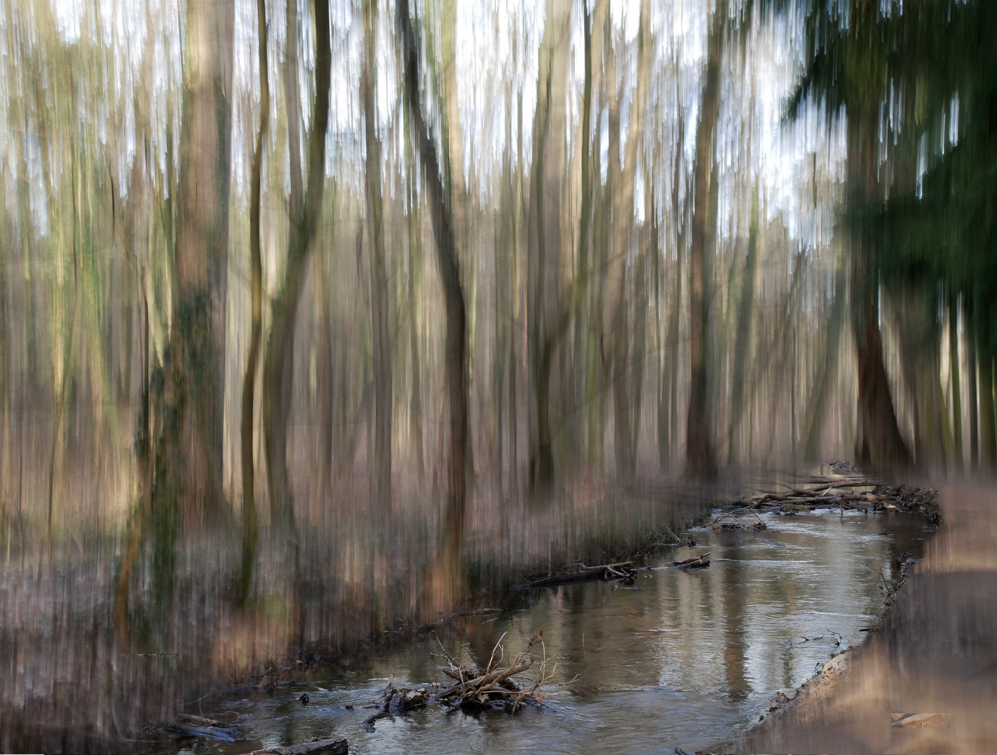 Abschied vom Winterwald