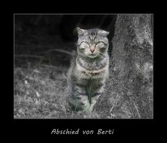 *** Abschied von Berti *** 