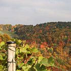 Abschied von den Weinbergen der Ahr