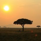 Abschied von der Serengeti