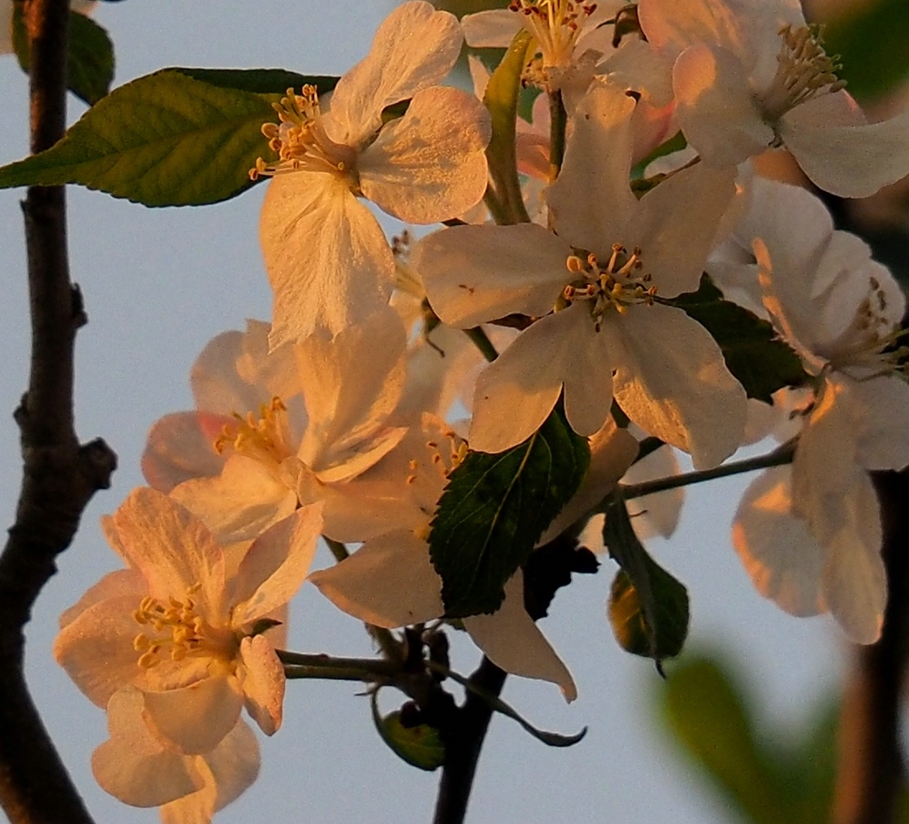  Abschied von der Sonne