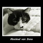 Abschied von Dona ....