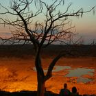 Abschied von Etosha