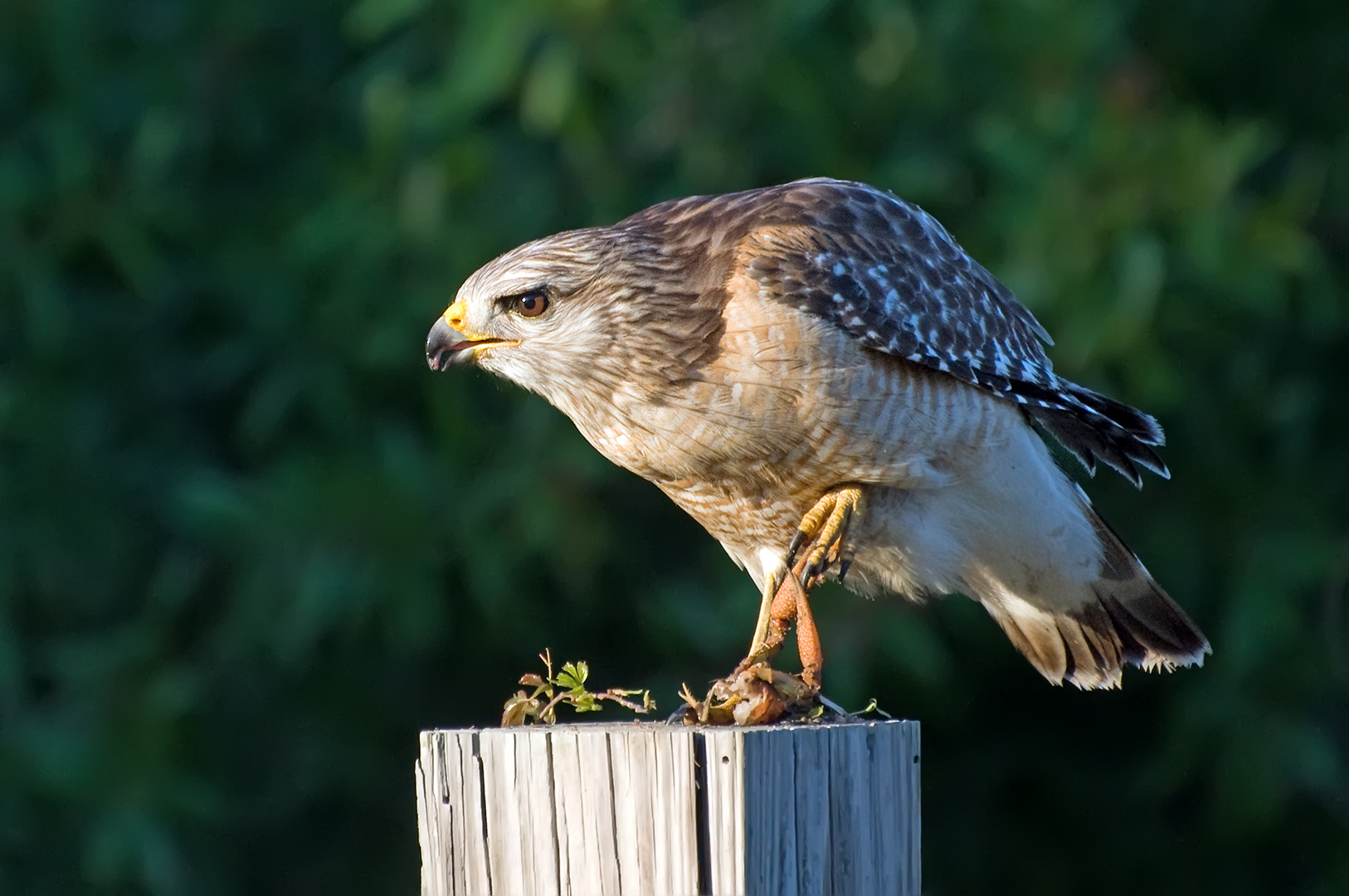 Abschied von fotocommunity