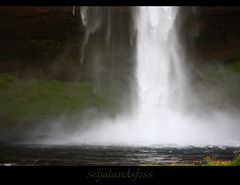 Abschied von Island