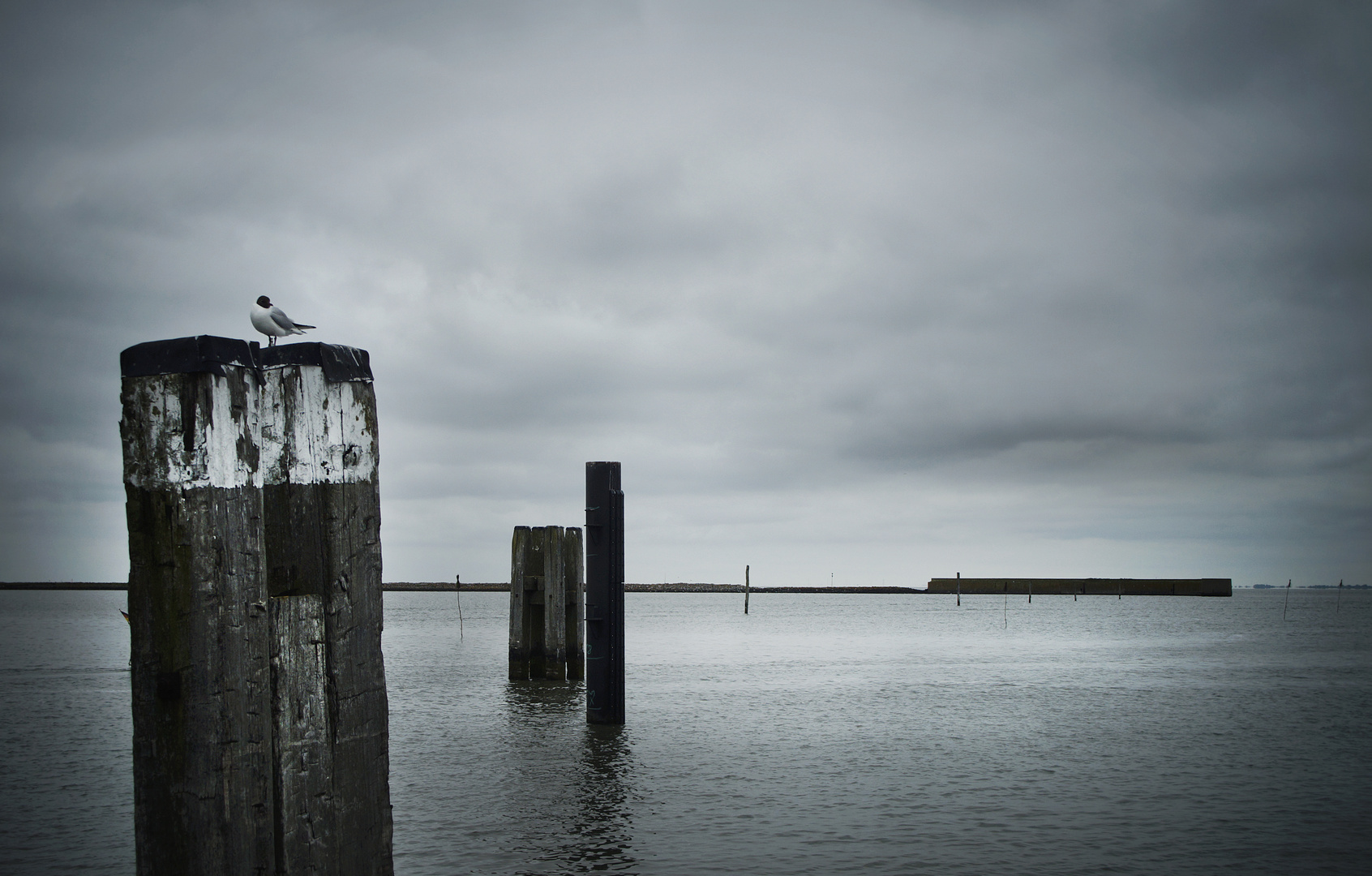 Abschied von Langeoog