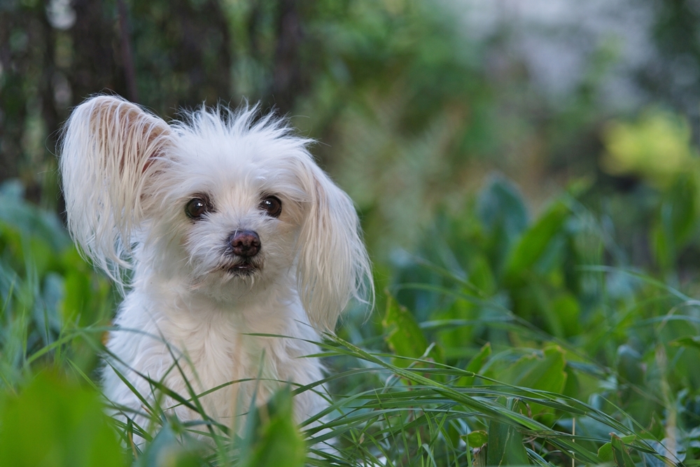 Abschied von Lucy