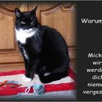 Abschied von Micky