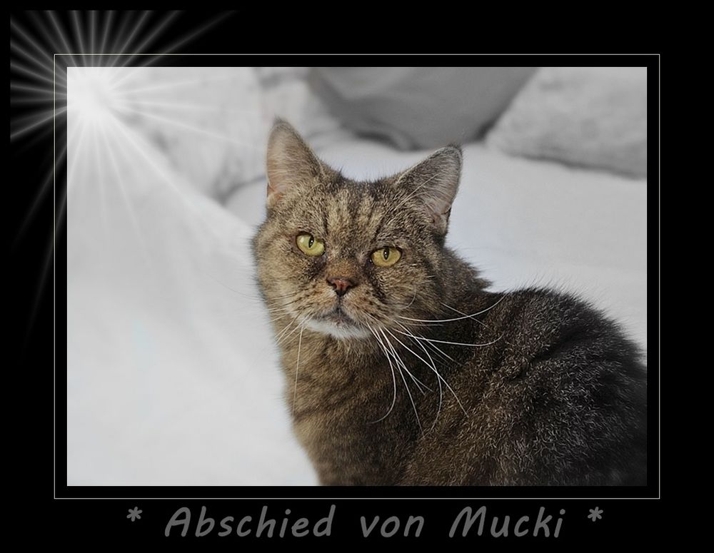 Abschied von Mucki