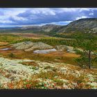 Abschied von Norwegen