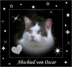 Abschied von Oscar ...