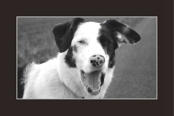 ***Abschied von Sally***