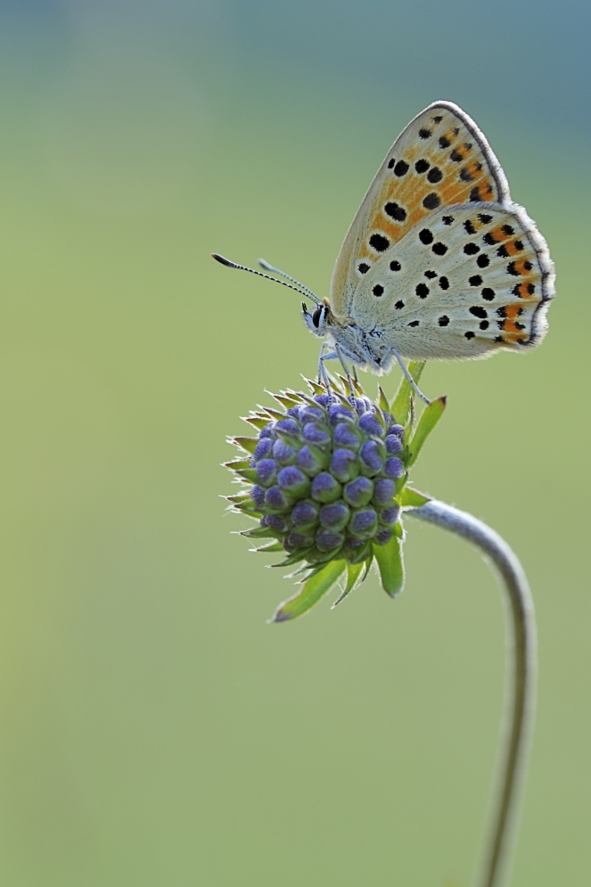 Abschied von Sommer