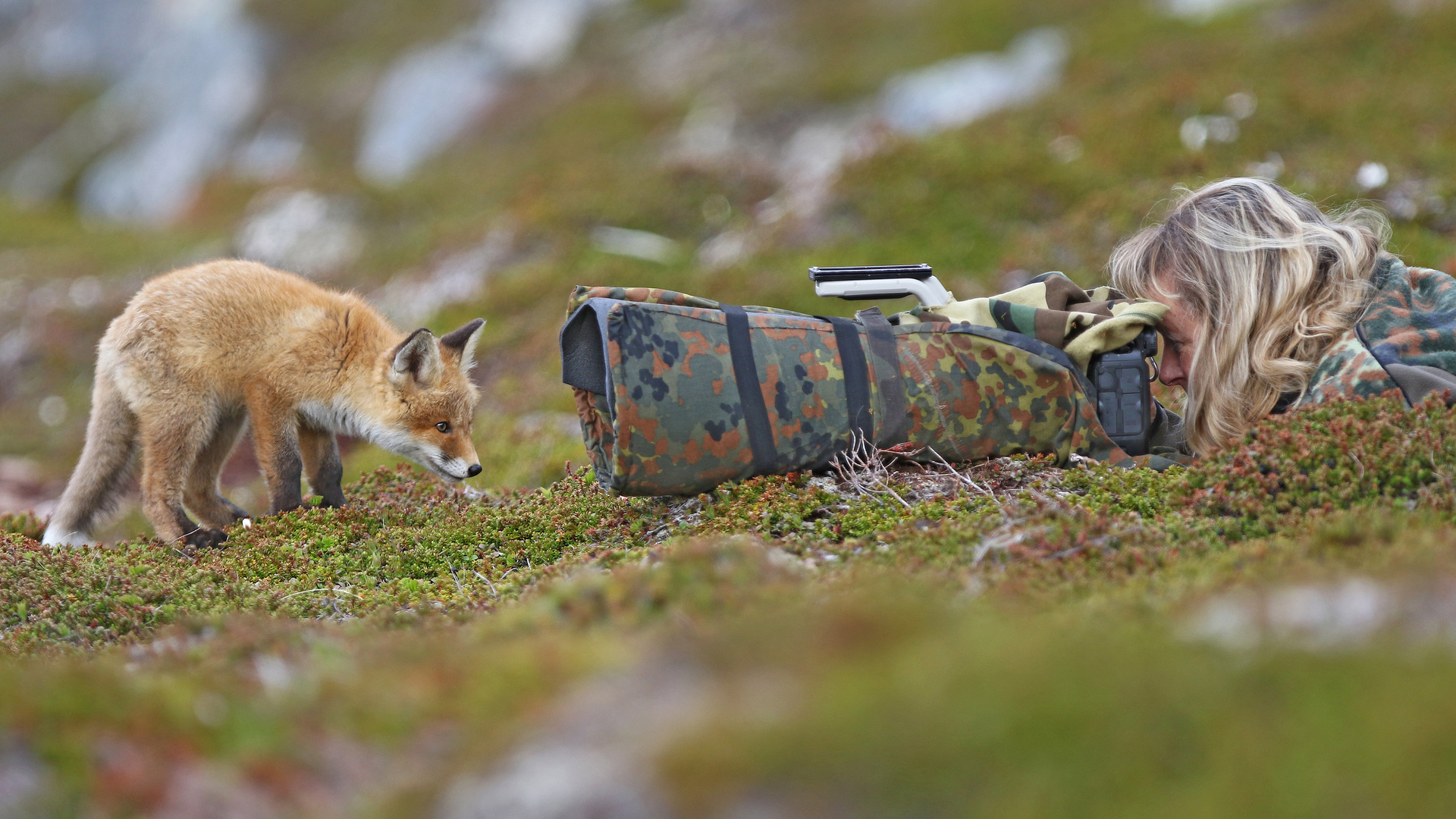 Abschieds-Fuchs