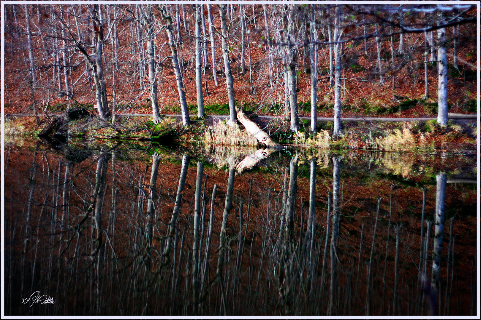 " Abschiedsspiegelung......... Spiegeltagdienstag 16.04.2019