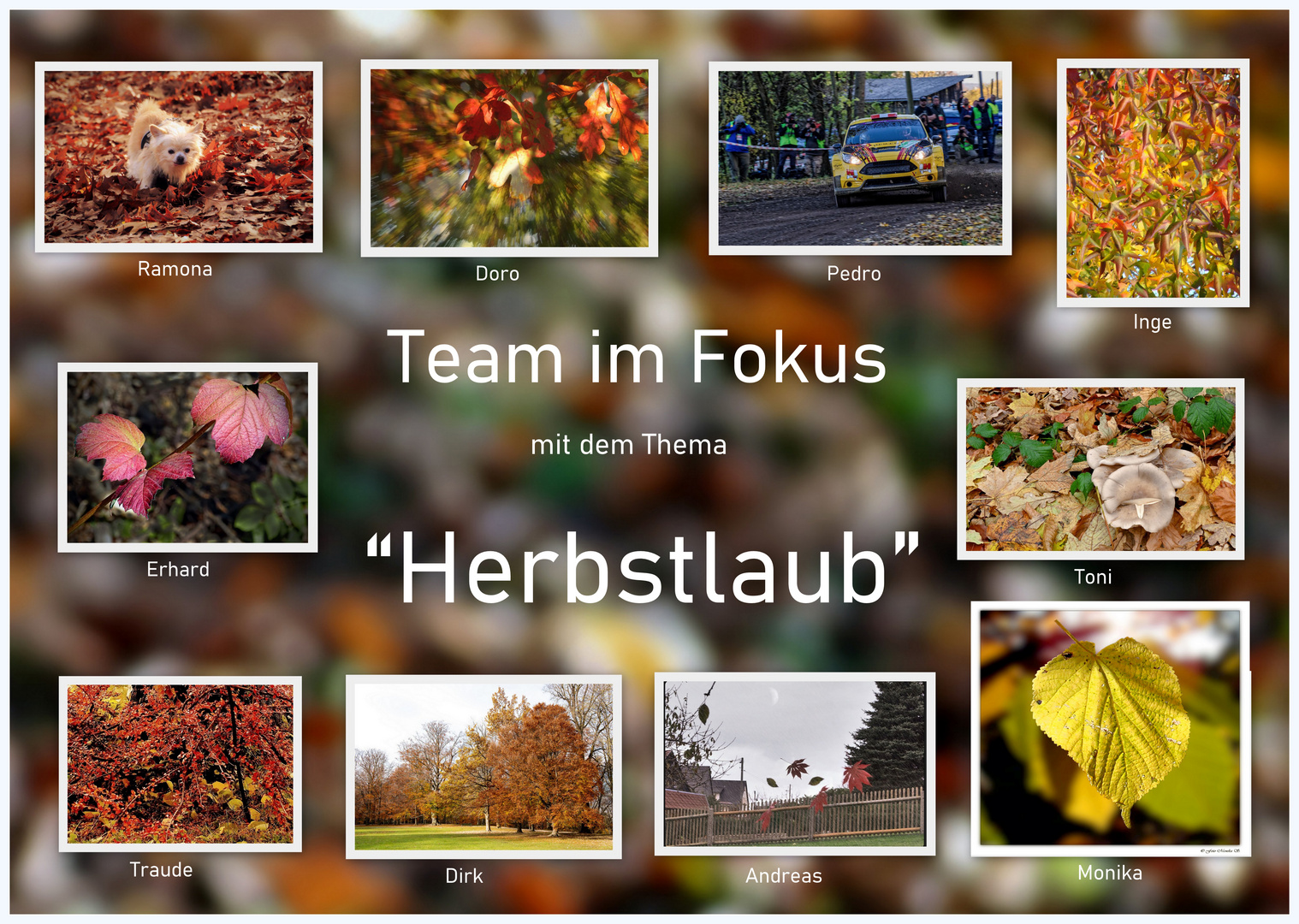 Abschlußcollage "Herbstlaub"