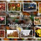 Abschlußcollage "Herbstlaub"