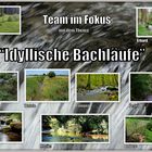 Abschlußcollage "Idyllische Bachläufe"