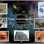 Abschlußcollage Thema "Augen"