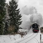 Abschlussfahrt Strecke Adorf-Zwotental mit 35 1097-1