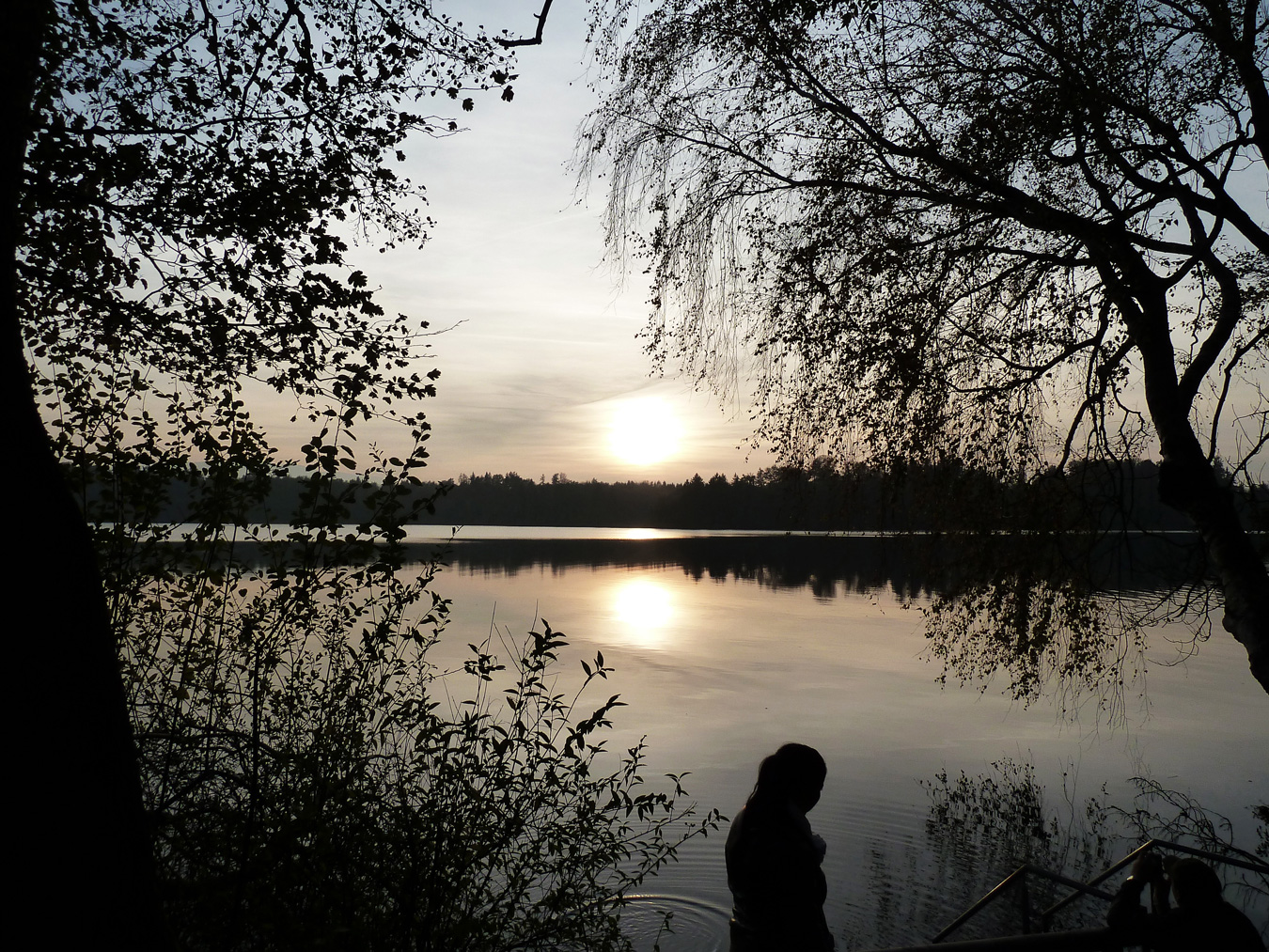 Absdorfer See