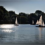 Absegeln in der Abendsonne