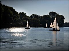 Absegeln in der Abendsonne