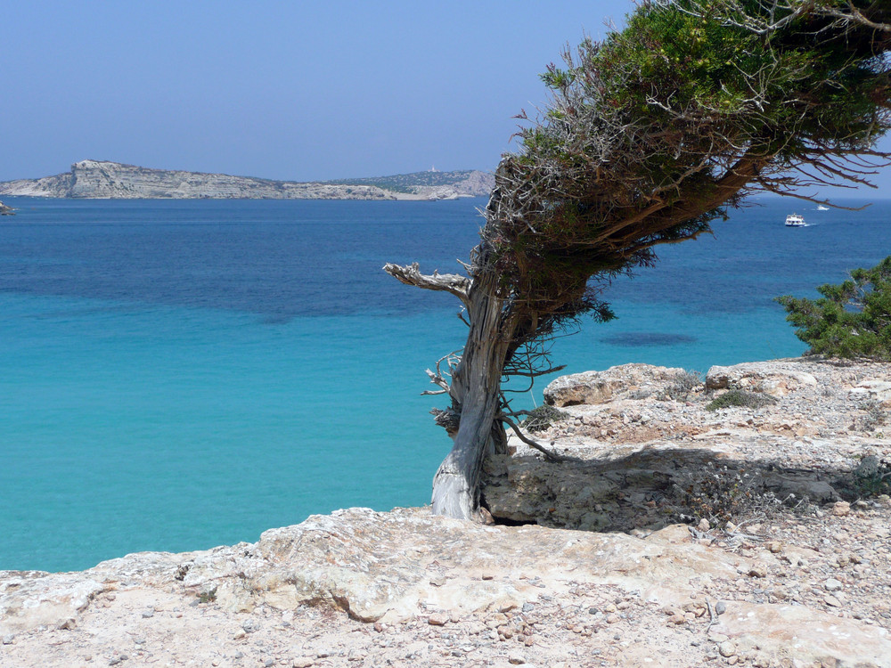 abseits auf Ibiza