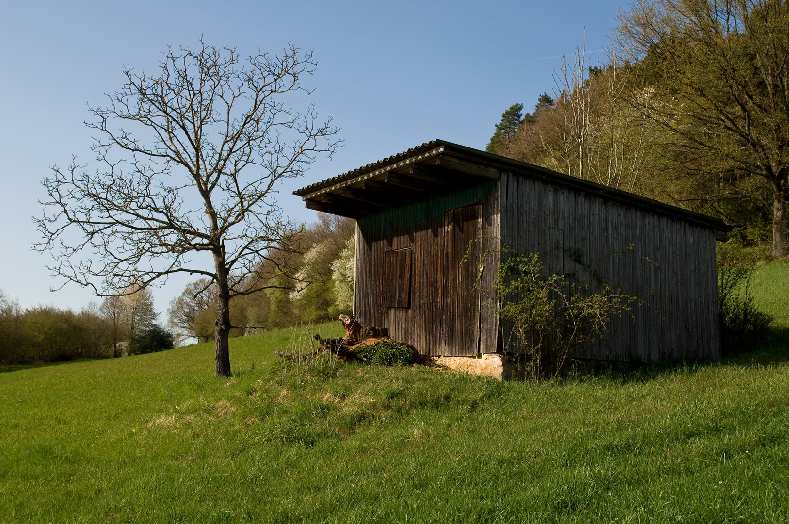 Abseits der fränkischen Kirschblüte