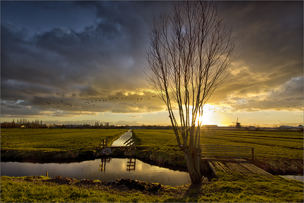 Abseits der Kinderdijk-Windmühlen