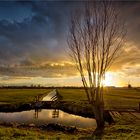 Abseits der Kinderdijk-Windmühlen