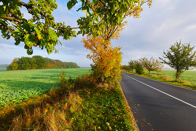 Abseits der Strasse...