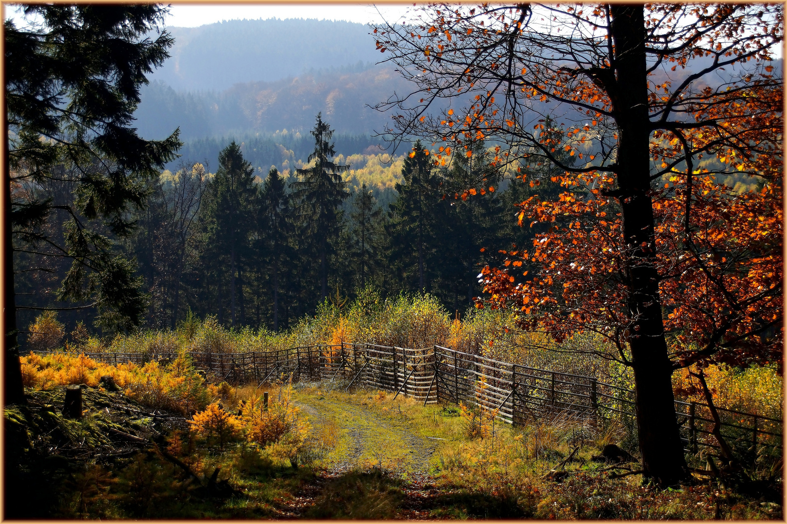 Abseits der Wanderwege