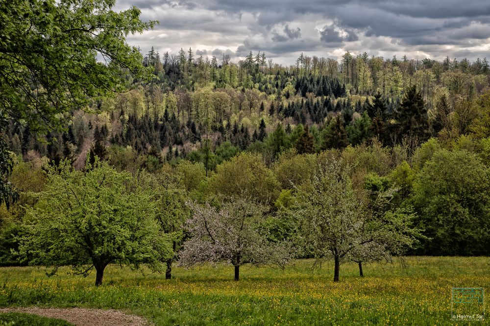 Abseits des Weges