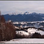 Abseits des Weges im Tara Branului