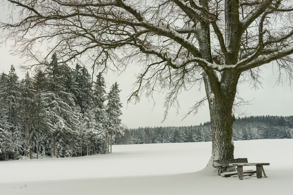 Abseits vom Schneechaos