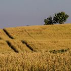 ABSEITS WARTEN STILLE UND SCHÖNHEIT