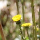  absichtlich verwaschen aufgenommen 