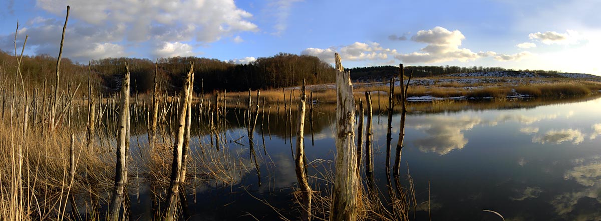 Absinkweiher bei Püttlinger Viktoriahalde