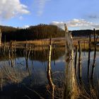 Absinkweiher bei Püttlinger Viktoriahalde