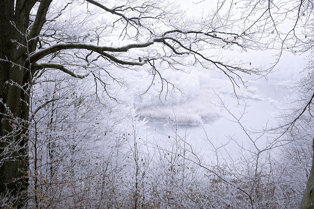 Absinkweiher in der Nähe von Püttlingen