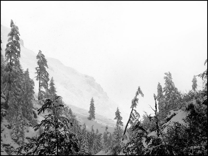 ABSOLUT AKTUELL 06.10.2003/ > FOG & SNOW 