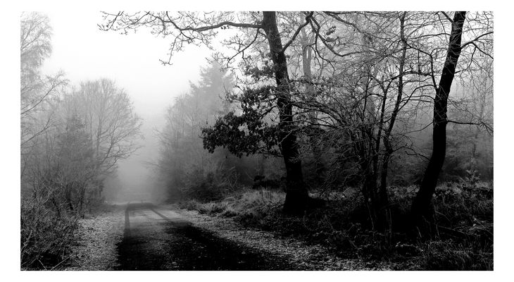 Absolut real - absolut trostlos